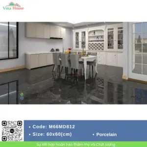 Gạch 60x60 APODIO M66MD812 Bóng
