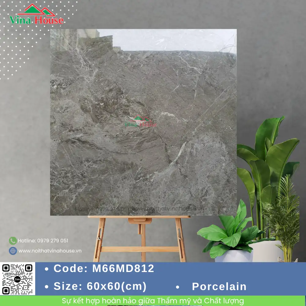 Gạch 60x60 APODIO M66MD812 Bóng