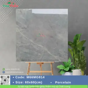 Gạch 60x60 APODIO M66MG814 Bóng