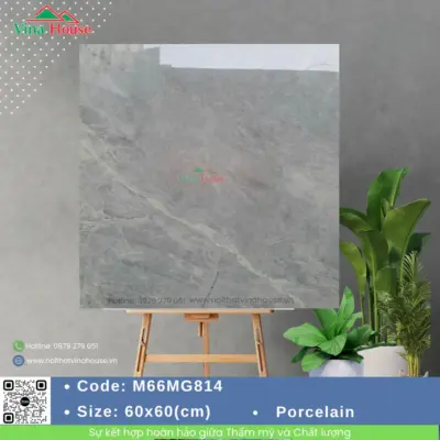 Gạch 60×60 APODIO M66MG814 Bóng