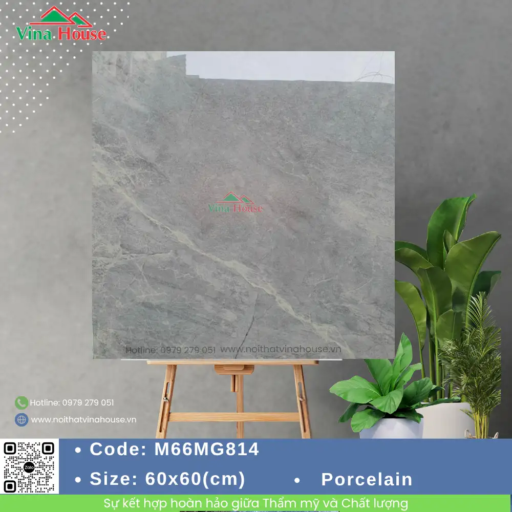 Gạch 60x60 APODIO M66MG814 Bóng