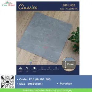 Gạch Sân Vườn 60x60 Apodio P15.66.MG 505