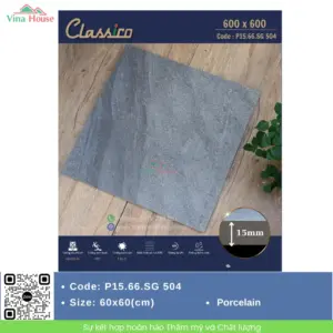 Gạch Sân Vườn 60x60 Apodio P15.66.SG 504