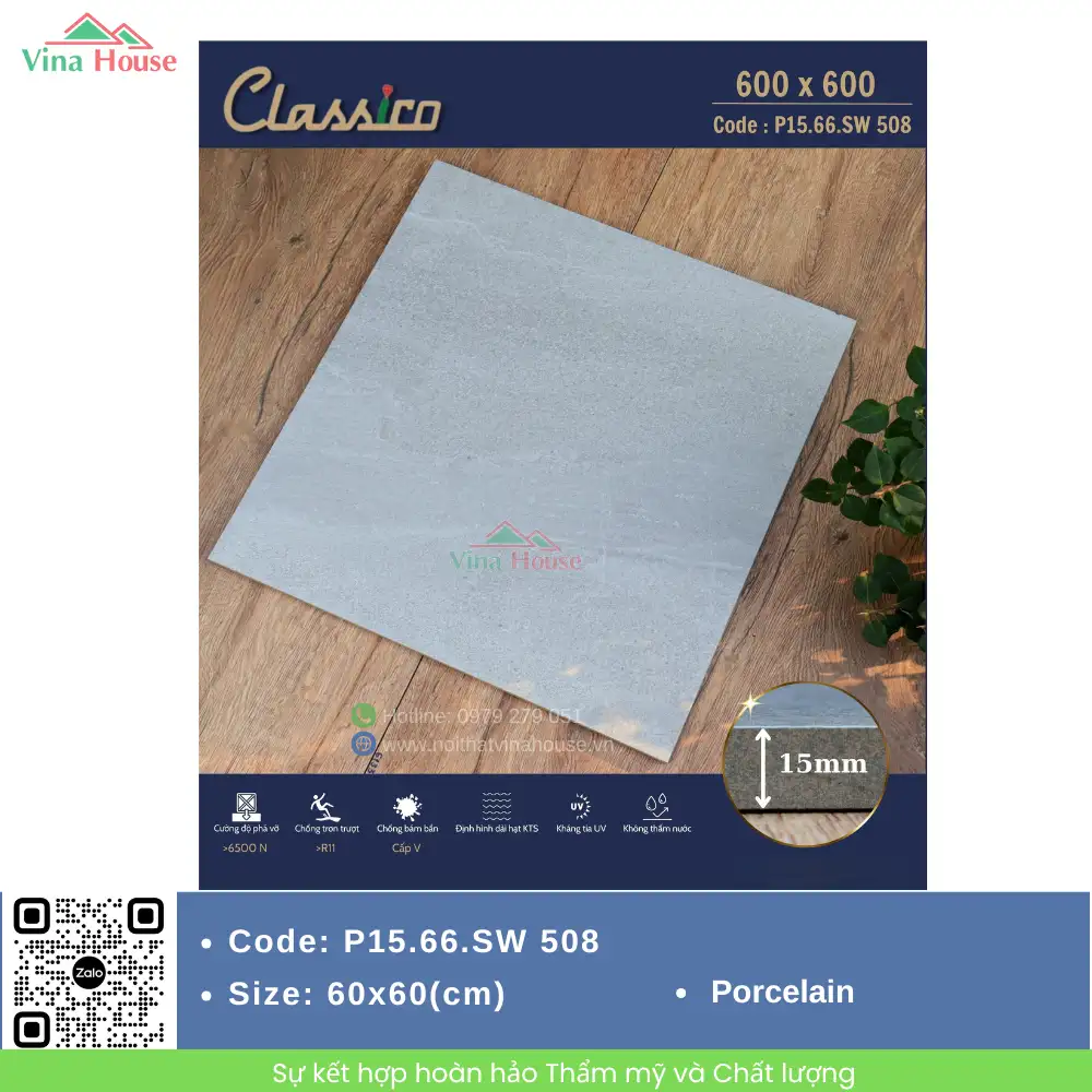 Gạch Sân Vườn 60x60 Apodio P15.66.SW 508