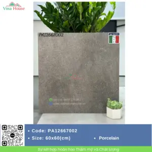 Gạch Sân Vườn 60x60 Apodio PA12667002