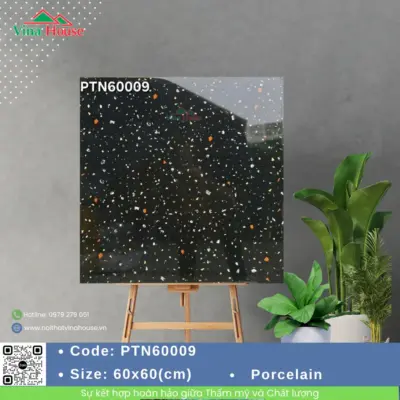 Gạch 60×60 CMC PTN60009 Bóng Kính