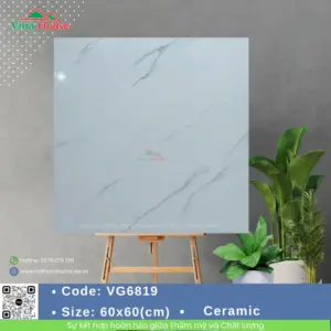 Gạch 60x60 Hoàng Gia VG6819
