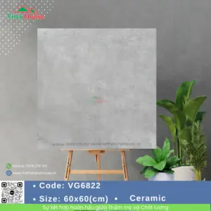Gạch 60x60 Hoàng Gia VG6822