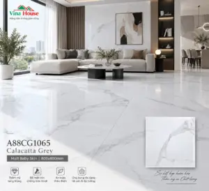 Gạch 80x80 APODIO A88CG1065 Matt Baby Skin