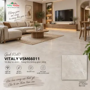 Gạch 60x60 VITALY VSM66011 Matt