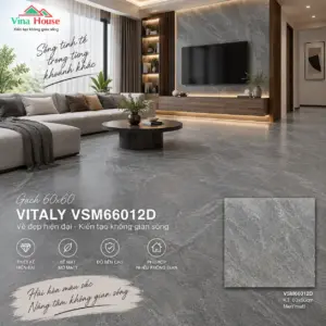 Gạch 60x60 VITALY VSM66012D Matt