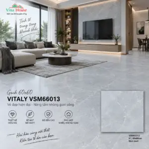 Gạch 60x60 VITALY VSM66013 Matt