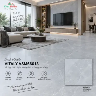 Gạch 60×60 VITALY VSM66013 Matt