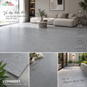 Gạch 60x60 VITALY VSM66001 Matt