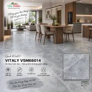 Gạch 60x60 VITALY VSM66014 Matt
