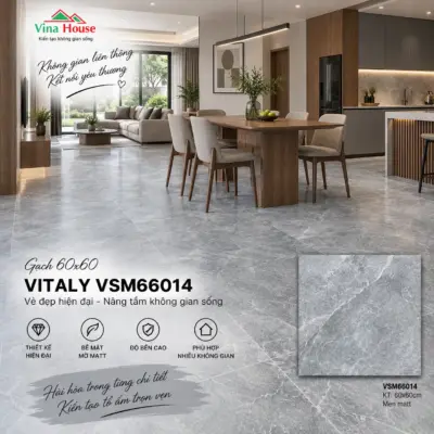Gạch 60×60 VITALY VSM66014 Matt