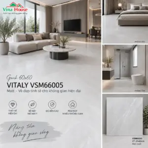 Gạch 60x60 VITALY VSM66005 Matt