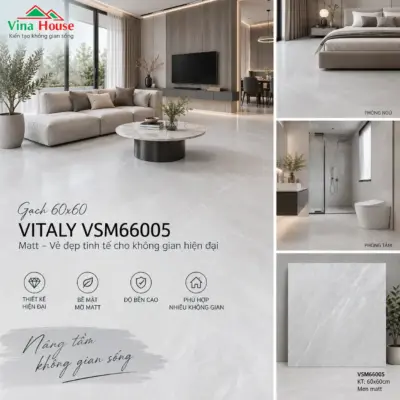 Gạch 60×60 VITALY VSM66005 Matt