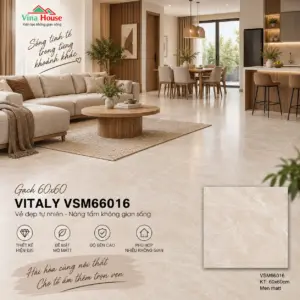 Gạch 60x60 VITALY VSM66016 Matt