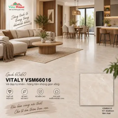 Gạch 60×60 VITALY VSM66016 Matt