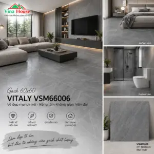 Gạch 60x60 VITALY VSM66006 Matt