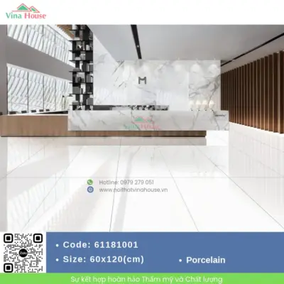 Gạch 60×120 APODIO 61181001 Bóng Vi Tinh