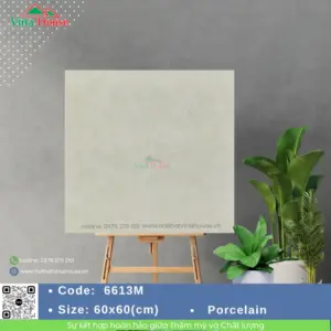 Gạch 60x60 VITALY 6613M Matt