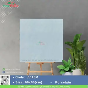 Gạch 60x60 VITALY 6615M Matt