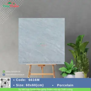 Gạch 60x60 VITALY 6616M Matt