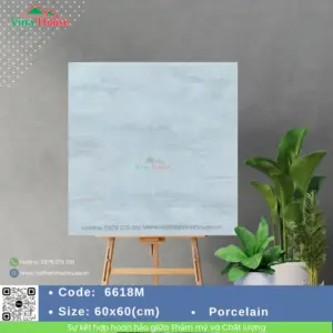 Gạch 60x60 VITALY 6618M Matt