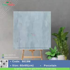 Gạch 60x60 VITALY 6619M Matt