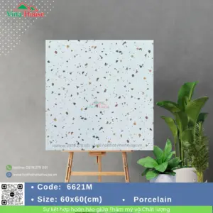 Gạch 60x60 VITALY 6621M Matt