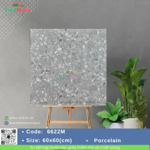 Gạch 60x60 VITALY 6622M Matt