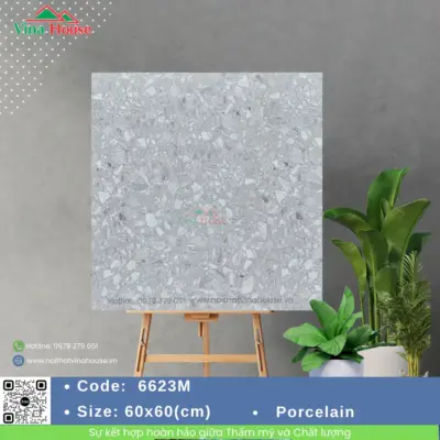 Gạch 60×60 VITALY 6623M Matt