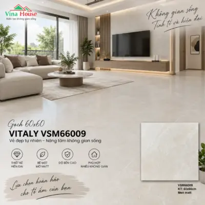 Gạch 60×60 VITALY VSM66009 Matt
