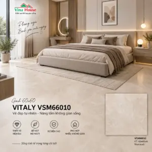 Gạch 60x60 VITALY VSM66010 Matt
