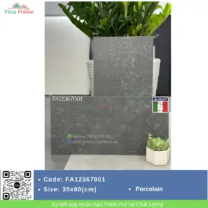 Gạch 30x60 APODIO FA12367001 matt
