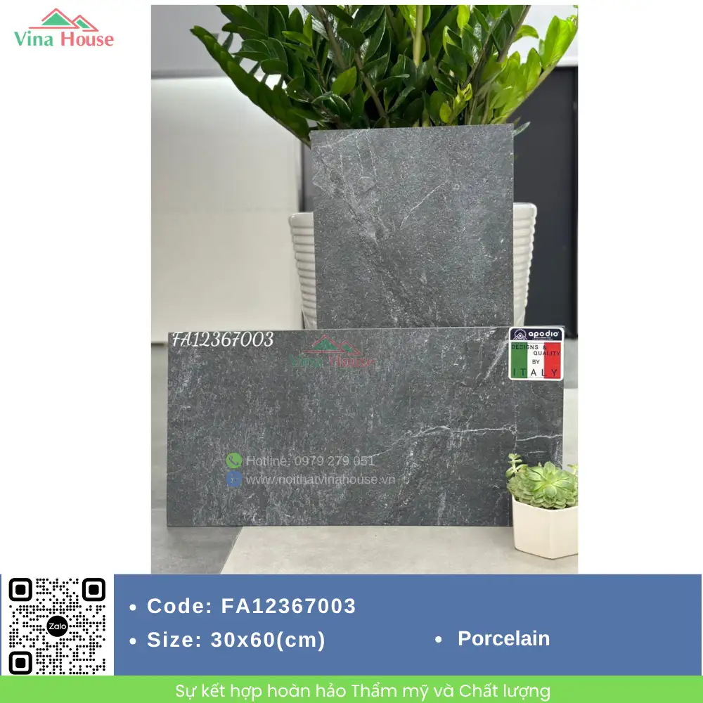 Gạch 30x60 APODIO FA12367003 matt