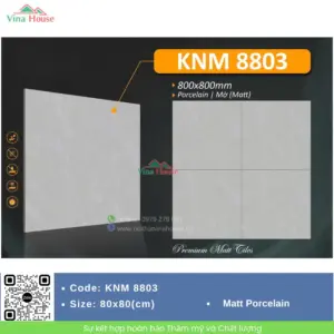 Gạch 80x80 NPG KNM8803