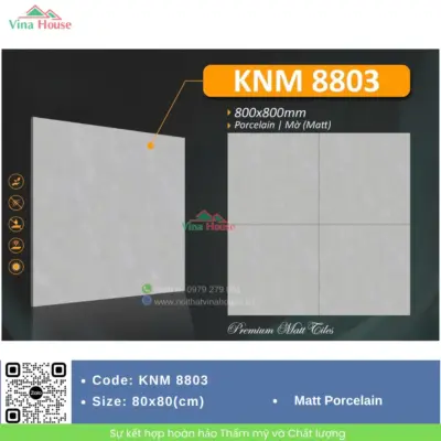 Gạch 80×80 NPG KNM8803
