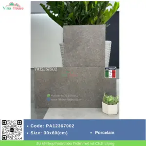 Gạch 30x60 APODIO PA12367002 matt