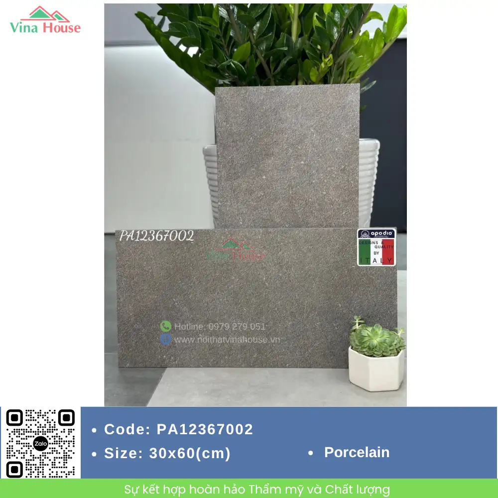 Gạch 30x60 APODIO PA12367002 matt