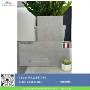Gạch 30x60 APODIO PA12367004 matt