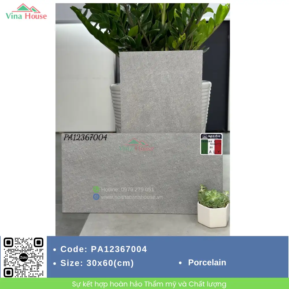 Gạch 30x60 APODIO PA12367004 matt