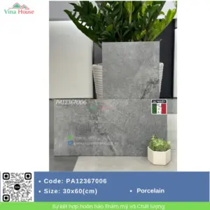 Gạch 30x60 APODIO PA12367006 matt