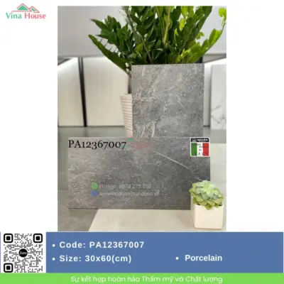 Gạch 30×60 APODIO PA12367007 matt