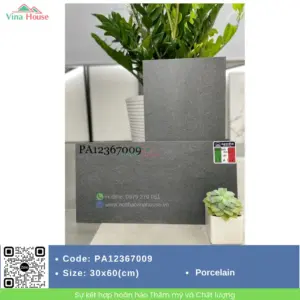 Gạch 30x60 APODIO PA12367009 matt