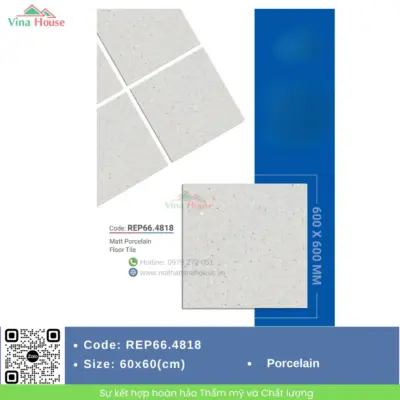 Gạch 60×60 Redstar REP66.4818 xám terrazo