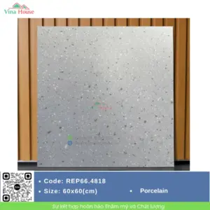 Gạch 60x60 Redstar REP66.4818