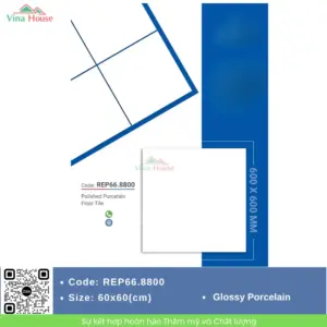 Gạch 60x60 Redstar REP66.8800